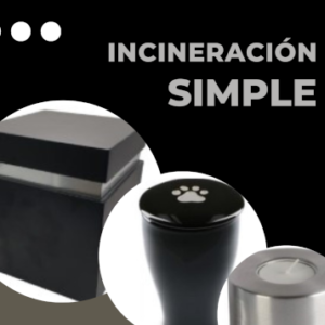 Incineración Simple